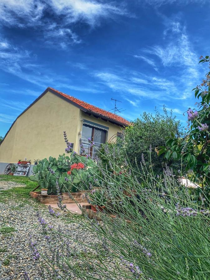 Ca' Degli Ovi B&B Valenza Extérieur photo