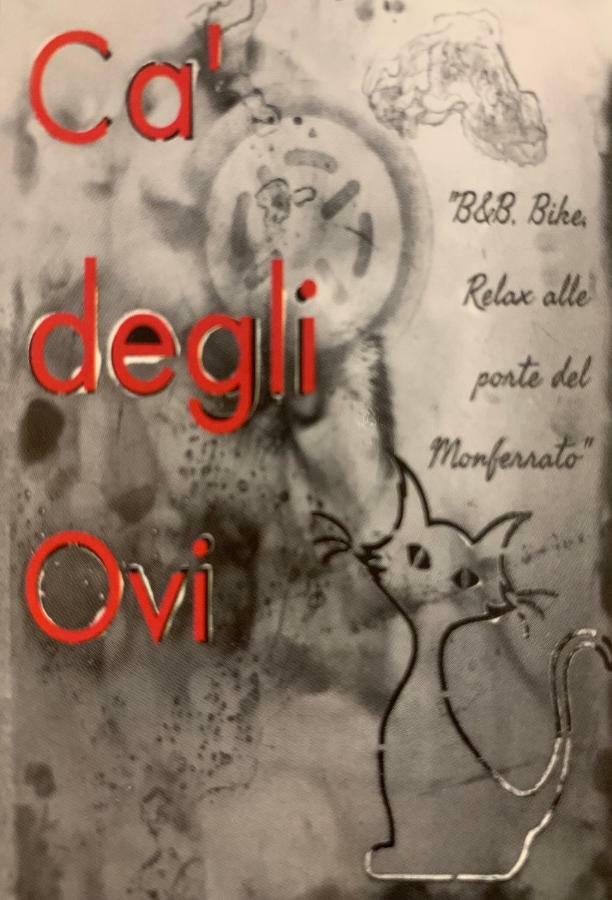 Ca' Degli Ovi B&B Valenza Extérieur photo