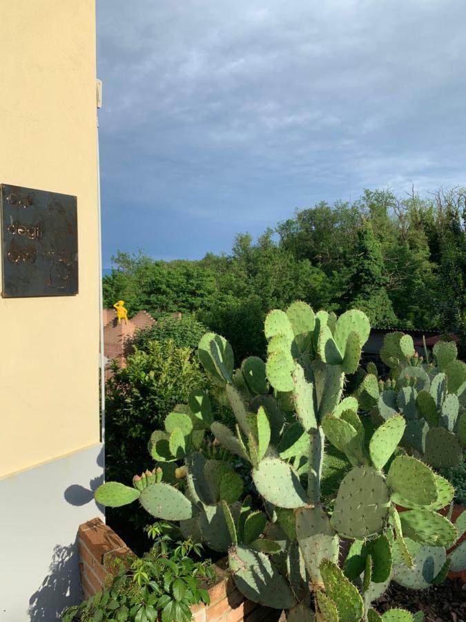 Ca' Degli Ovi B&B Valenza Extérieur photo